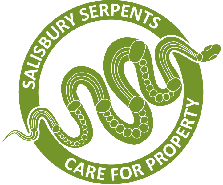 Salisbury_serpents_logo_CP1.png
